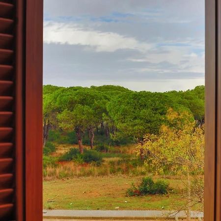 Precioso Apartamento A 700 M Del Mar Chiclana de la Frontera Exteriér fotografie