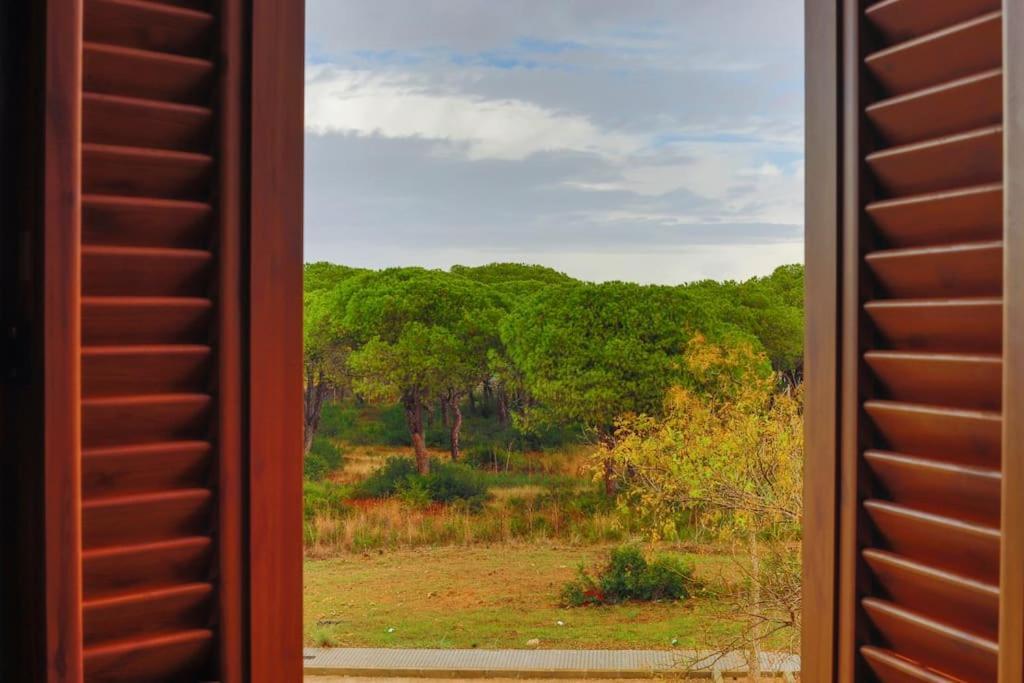 Precioso Apartamento A 700 M Del Mar Chiclana de la Frontera Exteriér fotografie